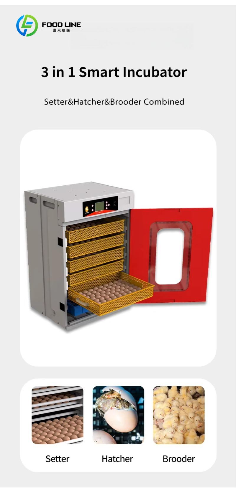 새로운 메추리 닭 부화기 500개 계란 부화기 산업용  - Rotary Bakery Oven 리뷰 및 가격